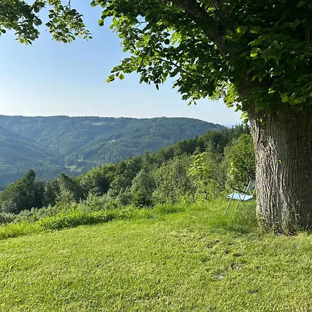 Haus Holzmann Am Holiday home Gmundnerberg