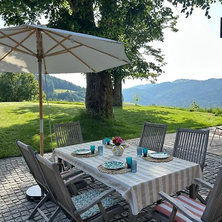 Holiday home Haus Holzmann Am Gmundnerberg